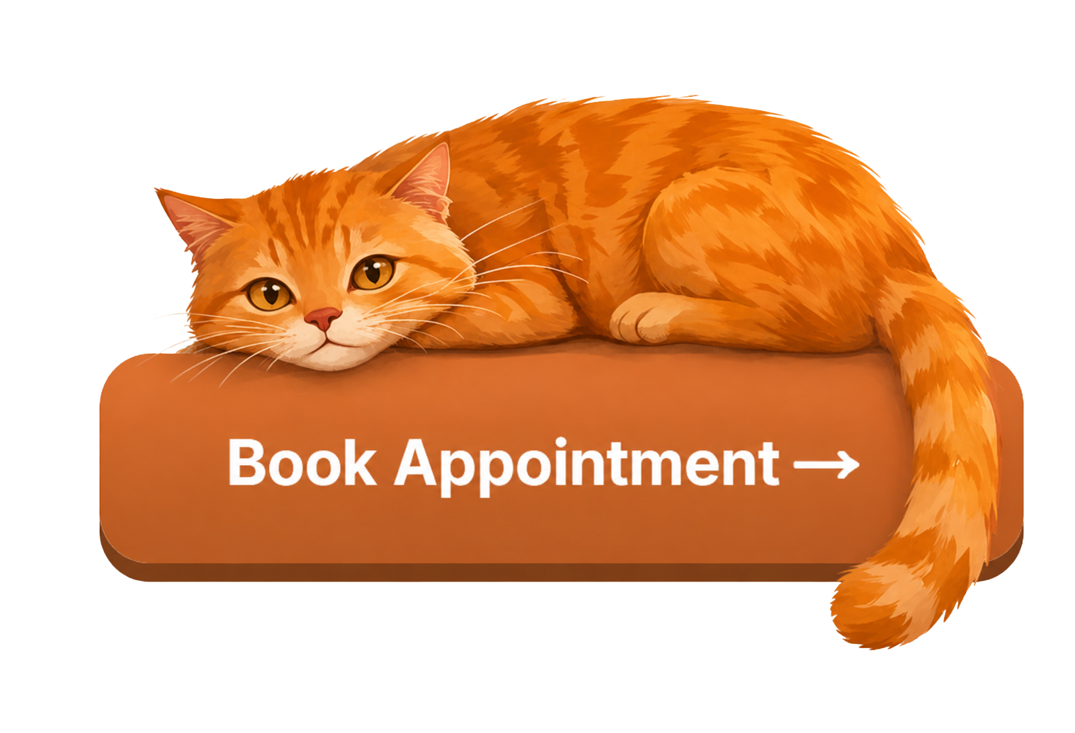 Book Appointment